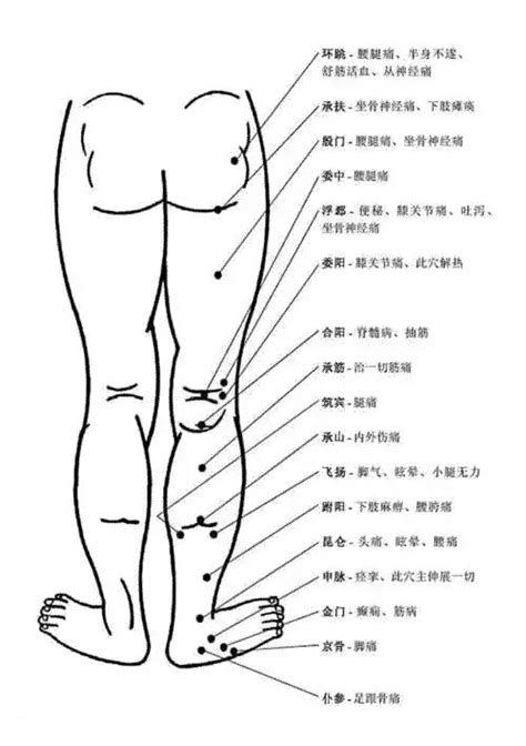 人身穴位圖|人體409個穴位詳解，附高清圖！功效講得很清楚了